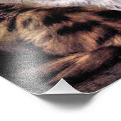 Tortoiseshel Perzische Katten Kunst Foto Afdruk (Hoek)