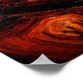 Tortoiseshel Poster (Hoek)