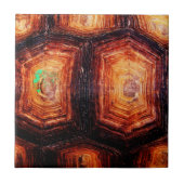 Tortoiseshel Tegeltje (Voorkant)