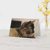 Tortoiseshell cat wenskaart- blanco binnen kaart (Gele Bloem)