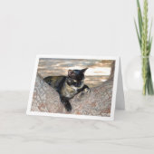 Tortoiseshell Kat in Boom Kaart (Voorkant)
