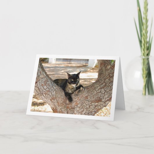 Tortoiseshell Kat in Boom Kaart (Voorkant)