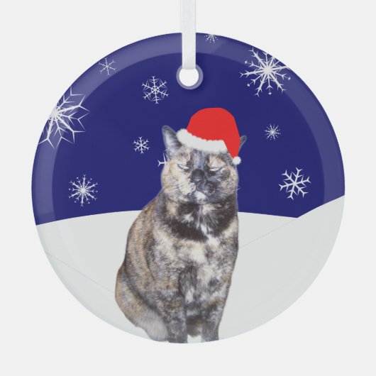 Tortoiseshell Kat in Santa Hoed met Sneeuwrijke He Glas Ornament (Voorkant)