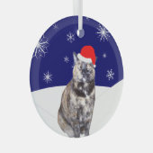 Tortoiseshell Kat in Santa Hoed met Sneeuwrijke He Glas Ornament (Voorkant Rechts)