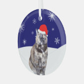Tortoiseshell Kat in Santa Hoed met Sneeuwrijke He Glas Ornament (Voorkant links)