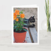 Tortoiseshell Kat met Firecracker Bloemen Kaart (Voorkant)