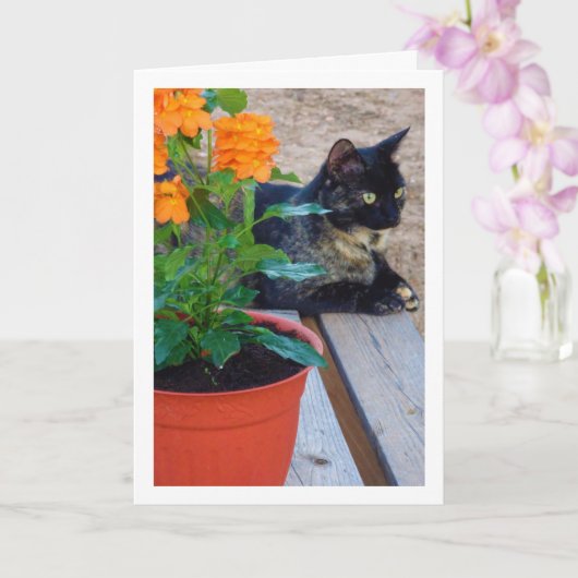 Tortoiseshell Kat met Firecracker Bloemen Kaart (Orchidee)