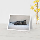 Tortoiseshell Kat Portret Kaart (Gele Bloem)