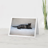 Tortoiseshell Kat Portret Kaart (Voorkant)
