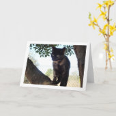 Tortoiseshell Kitten in Tree Kaart (Gele Bloem)