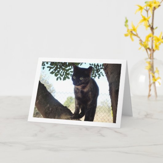 Tortoiseshell Kitten in Tree Kaart (Gele Bloem)