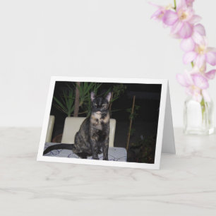 Tortoiseshell Kitten op tafel Kaart