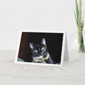 Tortoiseshell Kitten Portret Kaart (Voorkant)
