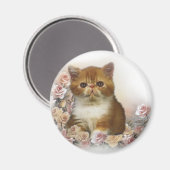 Tortoiseshell Perzisch Magneet (Voorkant / Achterkant)