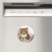 Tortoiseshell Perzisch Magneet (Insitu (Vaatwasser))