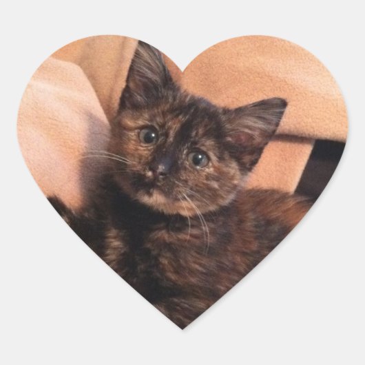 Tortoiseshell, Tortie, Tortie Kitten, Kitten, Kat, Hart Sticker (Voorkant)