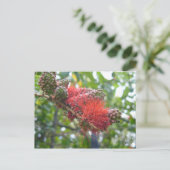 Tortola Flowers Briefkaart (Staand voorkant)