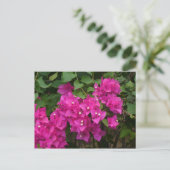 Tortola Flowers Briefkaart (Staand voorkant)
