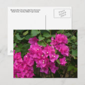 Tortola Flowers Briefkaart (Voorkant / Achterkant)