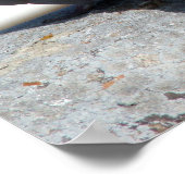 Tórtolas in Betancuria. Fuerteventura. Poster (Hoek)