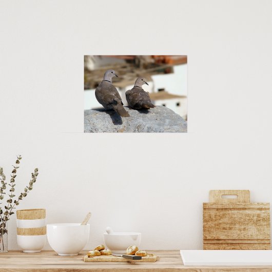 Tórtolas in Betancuria. Fuerteventura. Poster (Keuken)