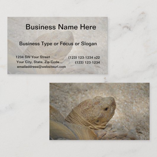 tortosiesnelschild dicht bij oude schildpad visitekaartje (Voorkant / Achterkant)