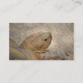 tortosiesnelschild dicht bij oude schildpad visitekaartje (Achterkant)