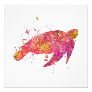 Tortue de Mer Ocean Mer Vie Marine Natuur Monde Te Foto Afdruk