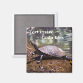 Tortuguero - Gele-buikschuifschildpad Magneet (Voorkant / Achterkant)