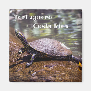 Tortuguero - Gele-buikschuifschildpad Magneet
