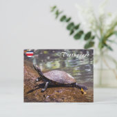 Tortuguero - roodwangschildpad briefkaart (Staand voorkant)