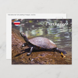 Tortuguero - roodwangschildpad briefkaart