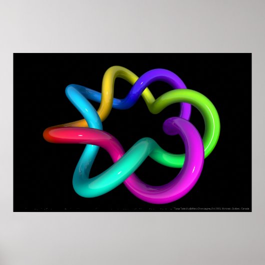 Torus Twist II Poster (Voorkant)