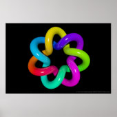 Torus Twist Poster (Voorkant)