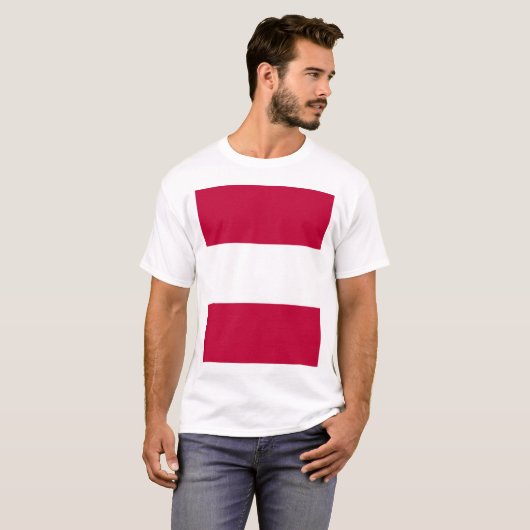 Tosa domein, Japan T-shirt (Voorkant volledig)