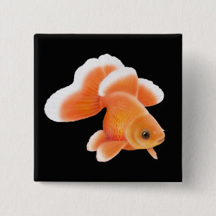 Tosakin Butterfly Tail Goldfish Pin Vierkante Button 5,1 Cm