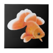 Tosakin Fantail Goldfish Tile Tegeltje (Voorkant)