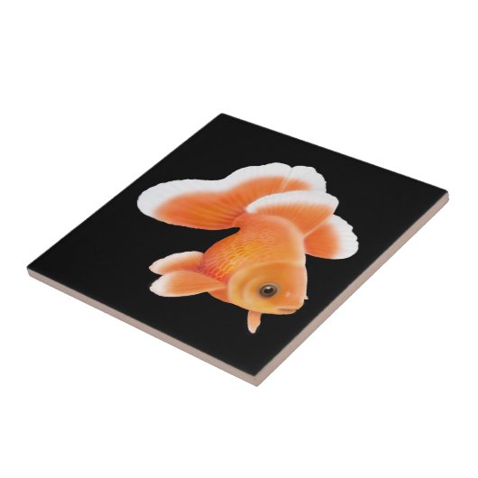Tosakin Fantail Goldfish Tile Tegeltje (Zijkant)
