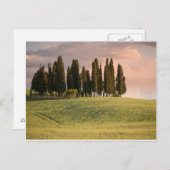 Toscaans landschap op zonsondergang briefkaart (Voorkant / Achterkant)