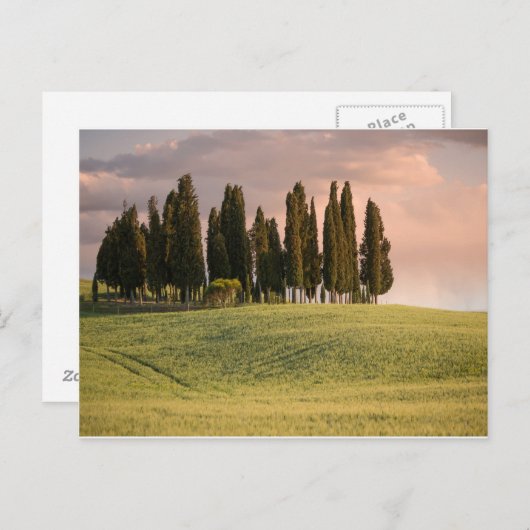 Toscaans landschap op zonsondergang briefkaart (Voorkant / Achterkant)
