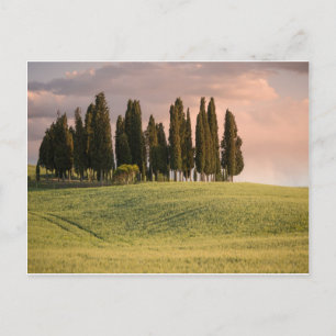 Toscaans landschap op zonsondergang briefkaart