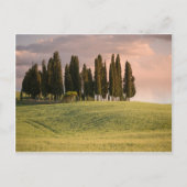 Toscaans landschap op zonsondergang briefkaart (Voorkant)