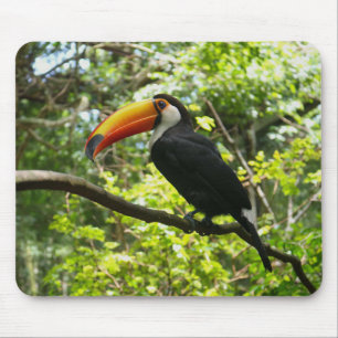 Toscaans, vogel, exotisch muismat