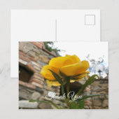 Toscaanse gele roos. Dank je. Briefkaart (Voorkant / Achterkant)