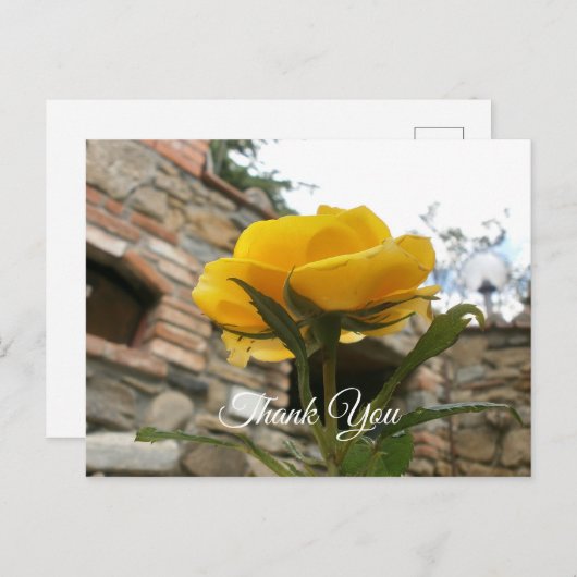 Toscaanse gele roos. Dank je. Briefkaart (Voorkant / Achterkant)