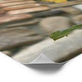 Toscaanse gele roos. poster (Hoek)