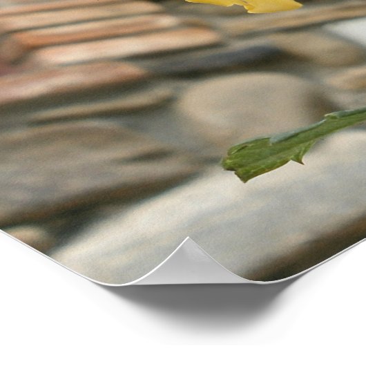 Toscaanse gele roos. poster (Hoek)