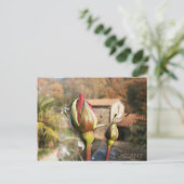 Toscaanse herfst roos. Toscane. Briefkaart (Staand voorkant)