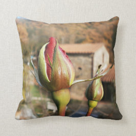 Toscaanse herfst roos. Toscane. Kussen