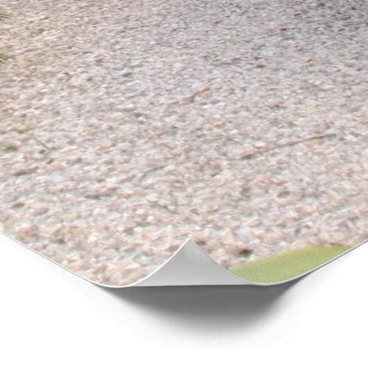 Toscaanse steeg poster (Hoek)